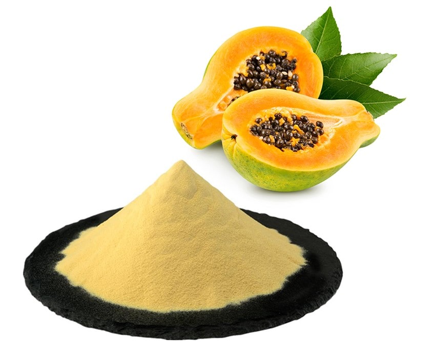 Papaya fruit powder là gì? Carica papaya extract là gì?