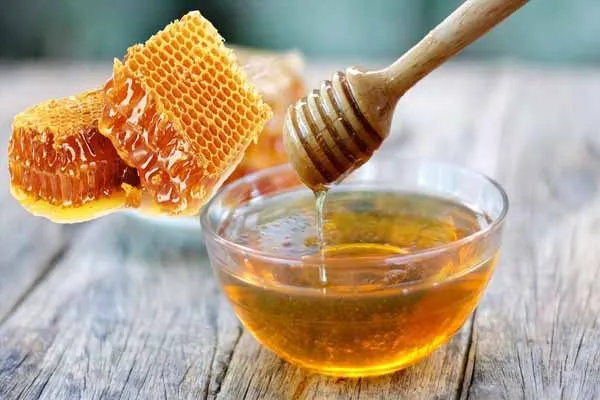 Enzyme Papain có ở đâu? Những thực phẩm giàu enzyme tiêu hóa tự nhiên tốt cho sức khỏe