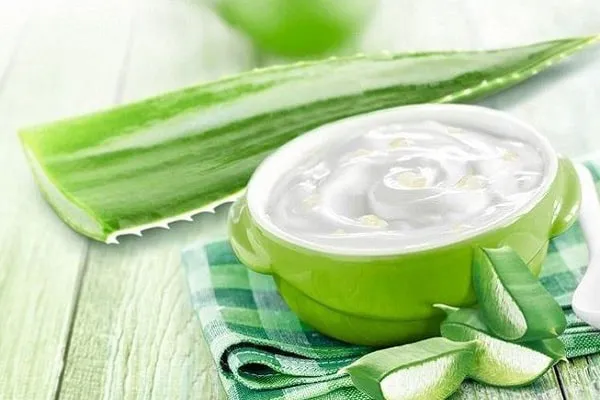 Tổng hợp cách làm mặt nạ nha đam dưỡng da đơn giản tại nhà 1