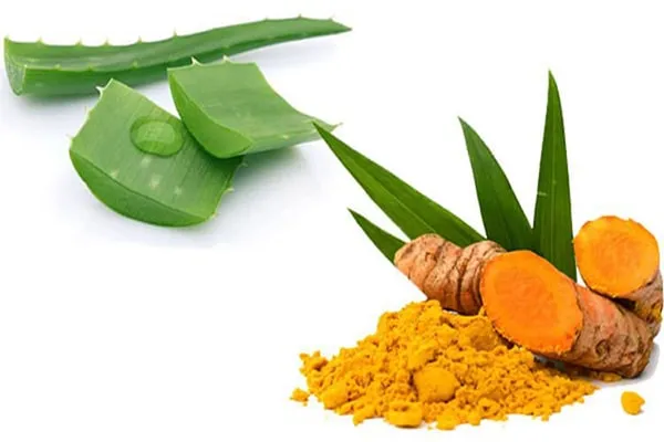 Tổng hợp cách làm mặt nạ nha đam dưỡng da đơn giản tại nhà 2
