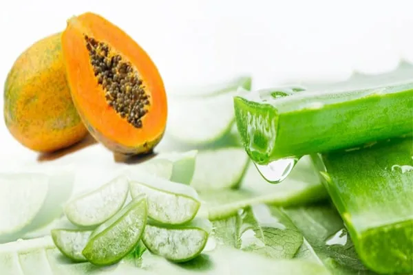 Tổng hợp cách làm mặt nạ nha đam dưỡng da đơn giản tại nhà 3