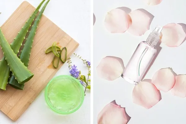 Tổng hợp cách làm mặt nạ nha đam dưỡng da đơn giản tại nhà 4