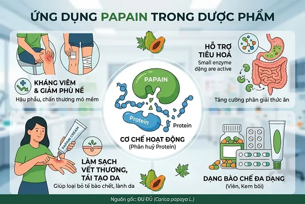 Ứng dụng trong Dược phẩm