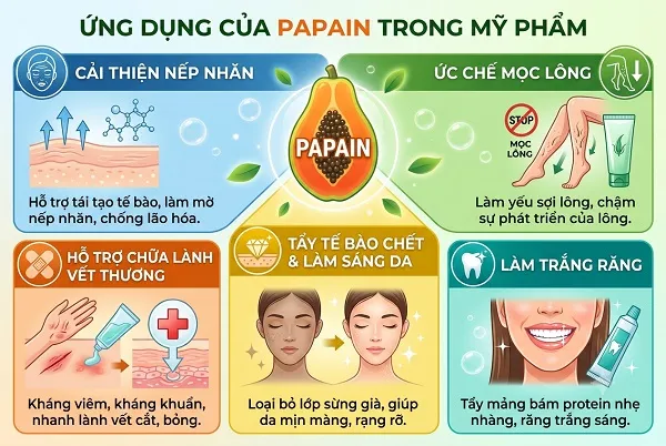 Ứng dụng trong Mỹ phẩm