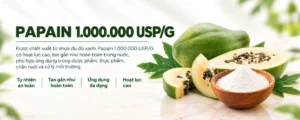 Papain 1.000.000 USP/G 1