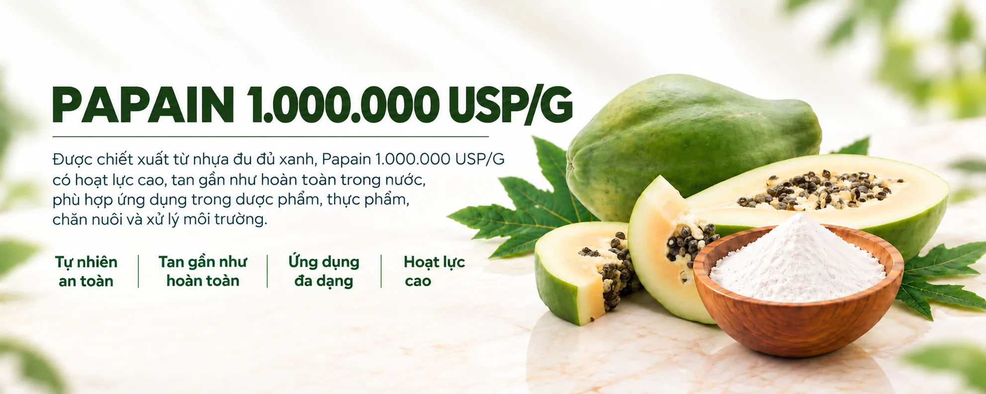 Papain 1.000.000 USP/G 1
