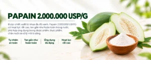 Papain 2.000.000 USP/G 1