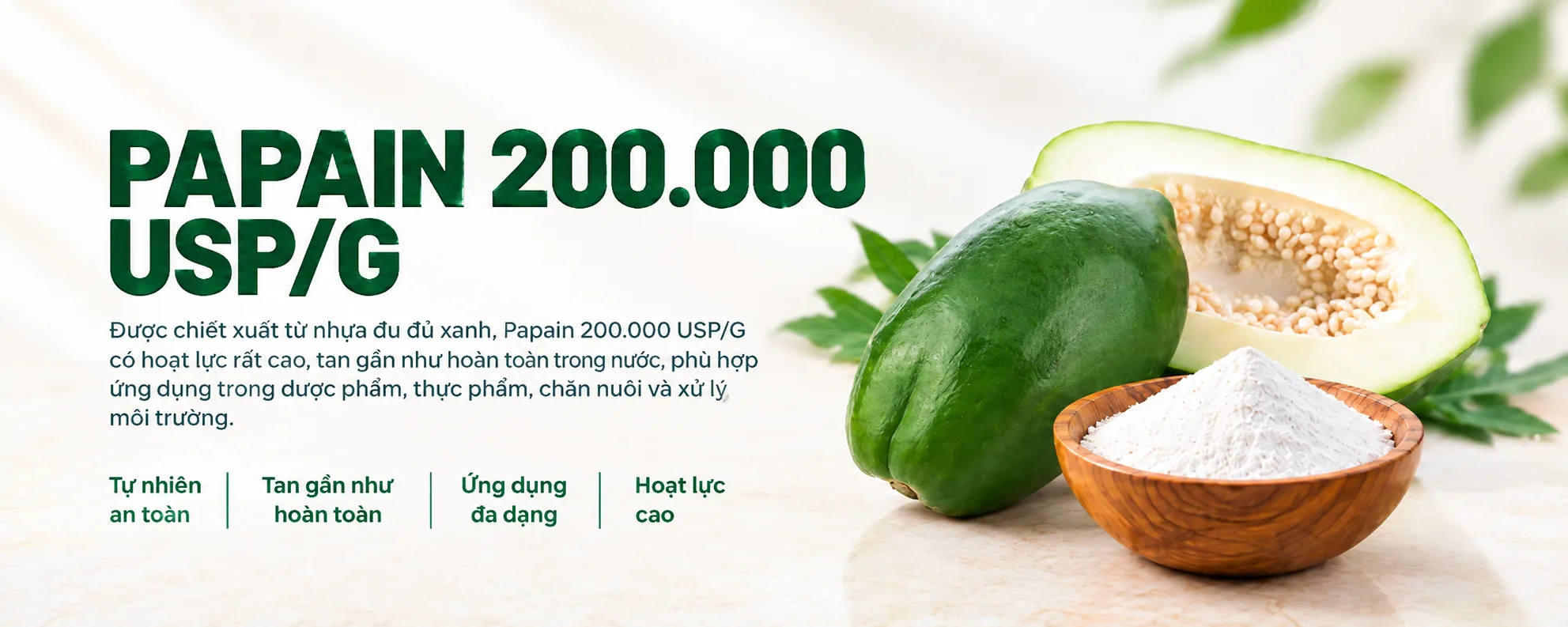Papain 200.000 USP/G 1