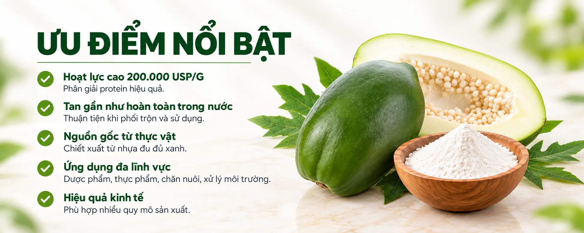 Papain 200.000 USP/G 2