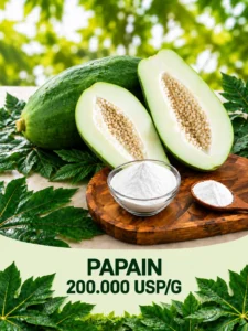Papain 200.000 USP/G