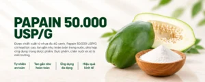 Papain 50.000 USP/G 1