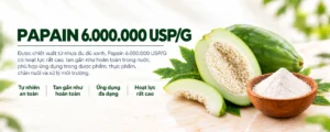 Papain 6.000.000 USP/G 1