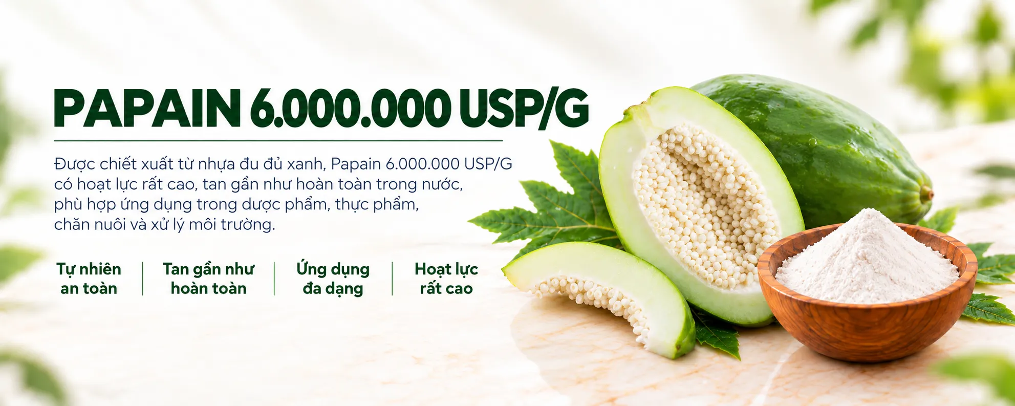 Papain 6.000.000 USP/G 1