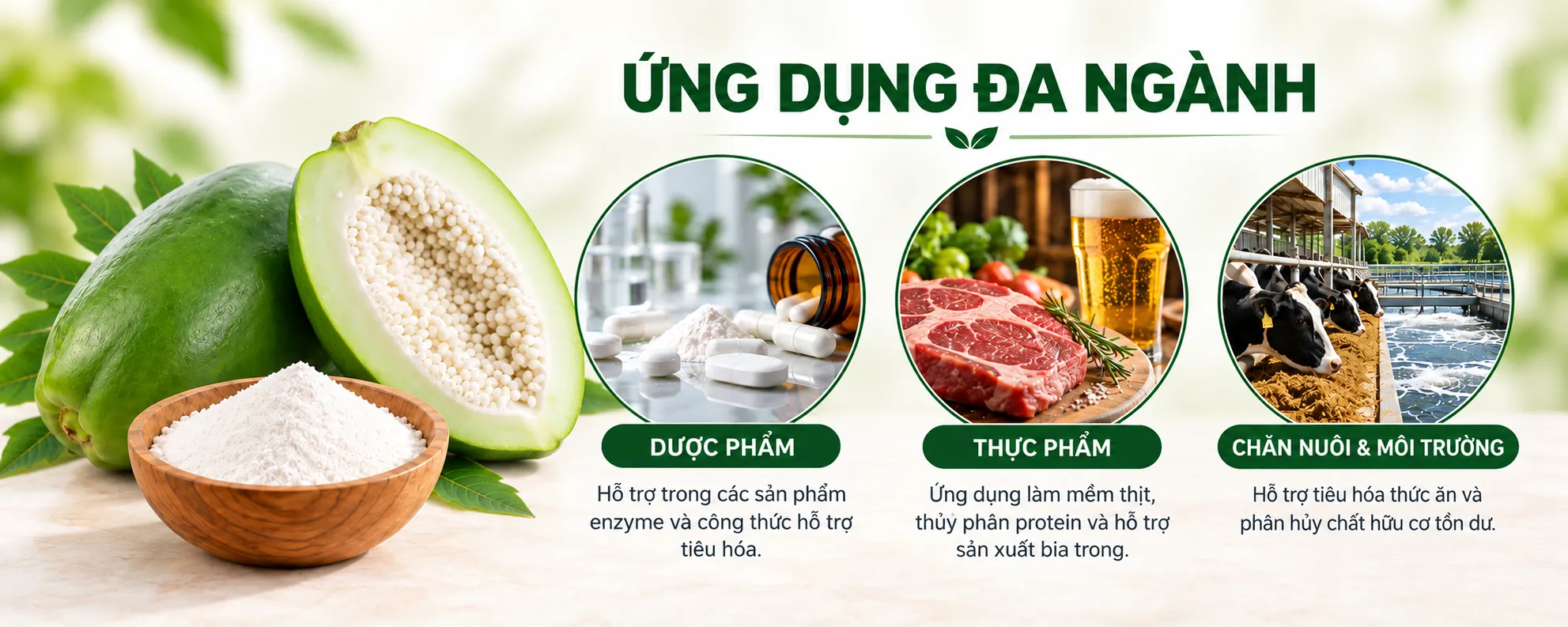 Papain 6.000.000 USP/G 3