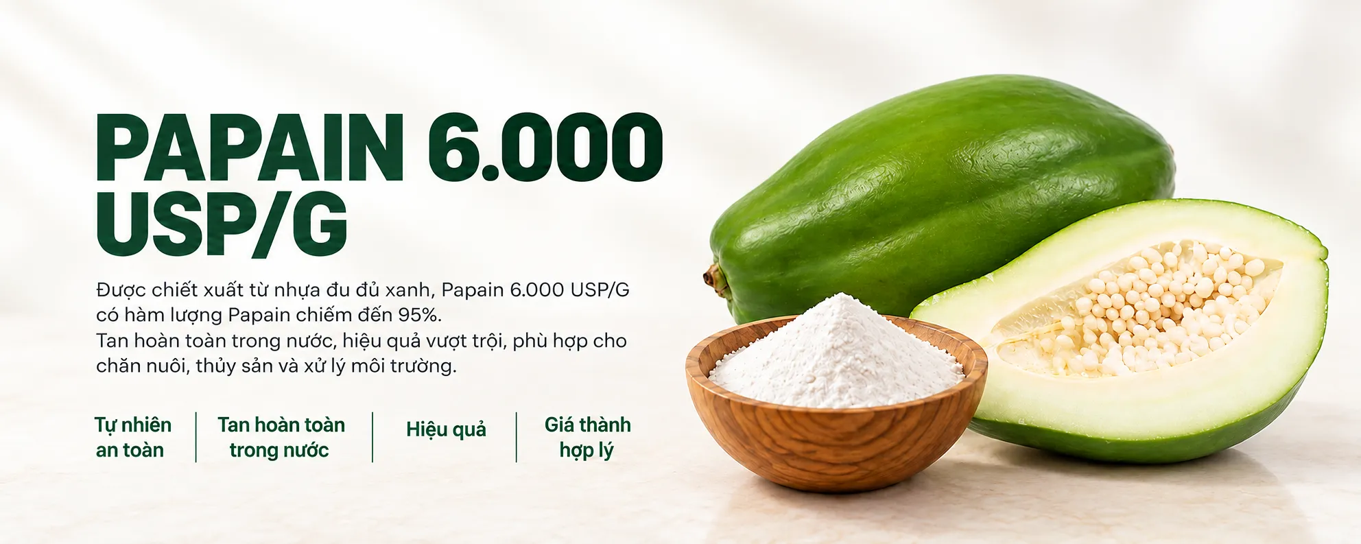 Papain 6000 USP/G 1