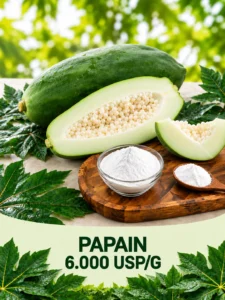 Papain 6000 USP/G