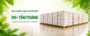 Papain 6000 USP/G 3