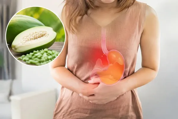 Enzyme papain có tốt cho hệ tiêu hóa không?