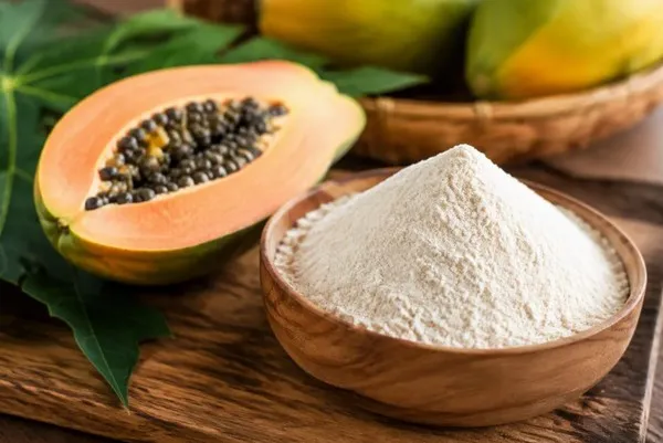 Enzyme papain có tốt cho hệ tiêu hóa không? 2