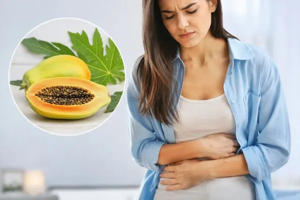 Enzyme papain có tốt cho hệ tiêu hóa không? 3